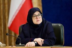 مهاجرانی: عدالت شغلی، راهبرد دولت برای توسعه متوازن است