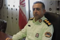 کشف احشام مسروقه در دلیجان