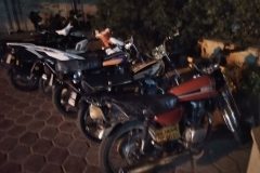 اجرای طرح پاکسازی پارک ها و تفرجگاه ها توسط نیروی انتظامی دلیجان