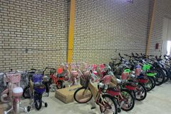 کشف ۳۱ دستگاه دوچرخه قاچاق در دلیجان